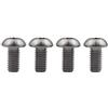 Ruifu M5 Titanium Gr5 Allen Button cap Viti Bulloni 8 10 12 mm per Bicicletta Water Bottle Cage (Confezione da 4), M5x12 mm
