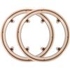 PACKOVE Protezione per Catena Bici da Strada e Mountain Bike, Copertura Plastica Paracatena 2 Pezzi, Copri Pignone Anteriore 42 Denti 4 Fori, Resistente e Compatibile per Corone Bici