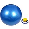 CLICLED Palla da Ginnastica e Yoga da 65 cm Sfera Fitness Anti-scoppio per Pilates, Esercizi, Equilibrio Fisioterapia e Gravidanza con Pompa Manuale Inclusa