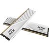 ADATA DIMM 64 GB DDR5-5600 (2x 32 GB) Kit Doppio, Memoria