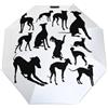 Qjjinxior Ombrello pieghevole con cane levriero italiano, ombrello da viaggio, antivento, impermeabile, Stile 5, Taglia unica