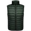 Pengniao Piumino Smanicato Leggero Uomo Gilet Imbottito Invernale Ultraleggero Giaccone Senza Maniche Verde L
