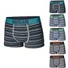 Navigare 6 Boxer Bimbo Cotone Art. 739ZB col. Assortiti Mis. A Scelta Assortiti 5 Anni