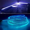 Bill Goff Inc. KIT striscia 600 LED RGB luce cromoterapia bagno centralina RF 24V stagna IP68