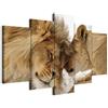 murando Quadro Animali Leoni 100x50 cm 5 pezzi Stampa su tela XXL Immagini moderni Murale Fotografia Grafica Decorazione da parete Leone Africa Amore Animale g-B-0034-b-m