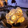 LINGJIONG Filo di rose luminose - Catena luminosa a LED rosa rosa rossa, luce rosa bianca e rosa con fiori a batteria per la decorazione di San Valentino