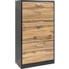 IlGruppone Scarpiera in Legno con Ante A Ribalta Armadio Salvaspazio Disponibile 3/4 Ante Vari Colori PortaScarpe Alto Stretto Ingresso Corridoio Scarpiere - Nero - 3 Ante