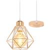 TOKIUS Lampada a Sospensione Industriale Vintage Plafoniera E27 Metallo Lampadario Soffitto Nero Gabbia ferro Ø160mm per Corridoio Portico Camera da Letto