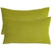 ZZDZW Set Di 2 Copri Cuscini 50x70 Per Divano 40x70 Copricuscino 50x80 Elasticizzato Con Cerniera,Federe Moderne Per Camera Da Letto Decorativo Velluto A Coste Elegante(Emerald green,40cmx100cm Set Of 2)