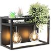 Qazqa cage rack - Appliques Industriale - 2 luce - L 40 cm - Nero - Industriale - Soggiorno I Camera da letto I Sala da Pranzo I Cucina