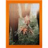 Wallazz Cornice Porta Puzzle 500 Pezzi 36,4x49,4 cm Arancione - Cornice per Quadri e Puzzle, Frontale Trasparente in Crilex, Made in Italy - Design Elegante da Parete