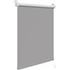 WOLTU Tenda a Rullo Interni Oscurante Klemmfix senza Fori Tenda Avvolgibile Oscurante per Protezione Solare per Finestre e Porte, 80x160 cm [Larghezza Tessuto: 76 cm], Grigio