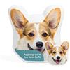 Cimpress Cuscino Fotografico Personalizzato con Faccia di Cane, Cuscino con Foto o Testo, 38 × 40 cm, Piccolo, Idea Regalo Romantica per Compleanni o Anniversari, Decorazione per la Casa