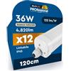 Eurocali 12 Plafoniere LED Impermeabili 36W 120CM Chip CREE 4820 Lumen Garanzia 6 Anni IP65 - Luce Naturale 4000K - Tubo Plafoniera Lineare da Soffitto per Garage Box Ufficio con Alta Luminosità 133 lm/W