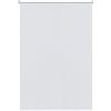 AUFUN Tenda a Rullo Oscuranti Oscurante 100 X 160 cm Tenda per luce diurna per Finestra, Senza Fori, Tutte parti montaggio incluse 100% Poliestere Tessuto - Bianco