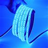 HEGEHE Striscia LED in silicone 24V [2M, Blu], IP65 Impermeabile Flessibile, SMD2835, 120 LEDs/M Striscia LED Tagliabile CRI85+, Decorazione per casa e negozio - Alimentatore non incluso