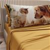 PETTI Artigiani Italiani - Lenzuola Animali con Gatti e Cani in Cotone con Federe in Stampa Digitale, Lenzuola Matrimoniali, Completo Letto Matrimoniale Giallo, 100% Made in Italy