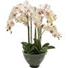 XONE Pianta artificiale in vaso trasparente Orchidea Phalaenopsis h85 cm