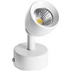 Siet Faretto A Soffitto A LED Faretto Orientabile A Montaggio Superficiale Regolabile, Lampada Orientabile A Parete Monopunto, Mini Faretti Direzionali Moderni da 5 W per Soggiorno Cucina Galleria