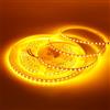 HEGEHE - Striscia LED 24V [5M, Arancione],CRI85+,SMD2835,120 LEDs/m,design fai da te,adatta per camera da letto,soggiorno,sala giochi,cucina,decorazioni per feste e negozi - senza alimentatore