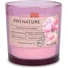 seit 1744 müller KERZEN Müller Kerzen PRO NATURE Candele Profumate in Vetro Rosa con Stoppino in Legno - Cera Bianca e Oli di Colza Naturali alle Rose selvatiche - Durata Fino a 40 Ore - 100% Vetro Riciclato