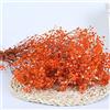 YIWOYI Bouquet di fiori secchi naturali, Gypsophila paniculata, ideali per feste di nozze o decorazione della casa,30-40 cm, 30 g, arancione