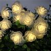 Labstandard Stringa di luci solari a forma di rosa, 6 m, 30 LED, con fiori di rosa, luci a energia solare, impermeabili, per esterni, con modelli (bianco caldo)