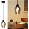 Lichtmaler Lampada a Sospensione Nera Vetro - Lampada Sospesa Vintage E27 Lampada da Soffitto 1 Luci per Cucina Soggiorno Camera da Letto e Hotel (senza lampadina)