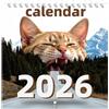 Generico Calendario Murale - 2026 Calendario Mensile Funny Cat | 2026 Pianificatore A Muro Da Gennaio A Dicembre | Pianificatore Mensile Cat Animal Art For Friends Family Schedule Desk Dank Home School Office,