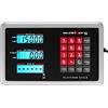 Steinberg Systems SBS-PF-150W - Bilancia a piattaforma senza fili 0,2-150 kg
