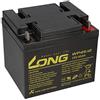 WSB 1 batteria AGM 12 V 45 Ah al piombo - WP45-12, compatibile con MP45-12, NP38-12I, 38 Ah, 39 Ah, 40 Ah, 42 Ah, 44 Ah, 50 Ah