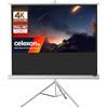 Celexon Stativleinwand Economy 244 x 138 cm - Whit