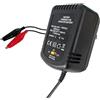 Life CARICA BATTERIE BATTERIA AL PIOMBO 2V 6V 12V 600mAH STABILIZZATO LED DI STATO