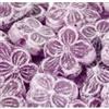 TP LP Tout Pour Les Papilles Caramelle viola di una volta 150g