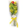 Generico Bouquet di Mimose con Rosa in Cioccolato al Latte, Confezione Regalo Festa della Donna 8 Marzo, con Cellophane e Fiocchi Gialli, Altezza 35cm