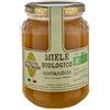 Apicoltura Colle Salera Miele biologico di Coriandolo - Italiano non Pastorizzato | Apicoltura Colle Salera (1000 gr)