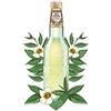 Galvanina Tè Bianco confezione 12 x 355ml.