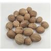 AgoraMarket Noce Moscata Intera 40g - 1.95Kg Myristica Fragrans di Qualità Premium (220 grammi)