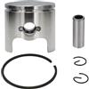 DORFEY Kit perno pistone da 39 mm adatto for motosega cinese Zenoah G3800 38 cc 3800 Cilindro Ricambi STIGA MACALLISTER Anova Ama Saw(Single Ring)
