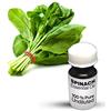 Vishaka Arts Olio essenziale di spinaci, 100% puro spinaci, olio essenziale non diluito, qualità premium (10 ml)