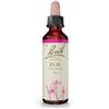 Bach Original Bach-Blüten Nr. 11 Elm Ulme Tropfen, 20 ml Soluzione