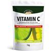 GOLDEN PEANUT Polvere di vitamina C 1 kg di acido ascorbico puro senza additivi ad alto dosaggio vegano e senza ingegneria genetica