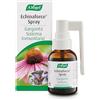 A.Vogel ECHINAFORCE SPRAY 30 ML BIOFORCE