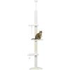 PawHut Albero Tiragraffi a Soffitto con Altezza Regolabile Bianco