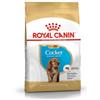 Royal CANIN C-08941 S.H. Nut. Cocker Junior-3 kg BHN Jr 3kg, Cranberry, 3000 unità