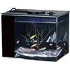 Smarbettiy Per Mini Acquario da Scrivania Con Filtro Kit Acquario Autocircolante Regolabile Luce LED Silenziosa Eco Cilindro da Tavolo Nero Trasparente (S)