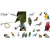BLUSUPERSHOP laccio elastico CORDA 3MM x 1 METRO CON MOSCHETTONE ED ANELLO DA INSERIRE AD ANELLO DELLA ZAMPA DEL TUO PAPPAGALLO per portarlo IN GIRO (giallo)
