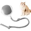 Biniveil Pallina Gatto Automatica | Giocattoli Interattivi Per Gatti | Ball Interattivo Giocattolo | Palla Giocattolo Per Gatti Intelligente | Palla Per Cani E Gatti In Movimento