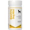 Vet-Service Gastro-Dog Mini | 30 grammi | Gastriti Acute e Croniche | Integratore per cani in polvere | Un valido aiuto in caso di vomito, reflusso, gastriti, ipersalivazione, infiammazioni gastriche