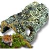 Vogelgaleria tunnel in sughero da 30 cm in corteccia di sughero naturale purificata con 2 fori - il tubo particolarmente popolare per piccoli animali e rettili - terrario decorativo grotta